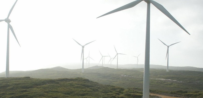 Wind farm